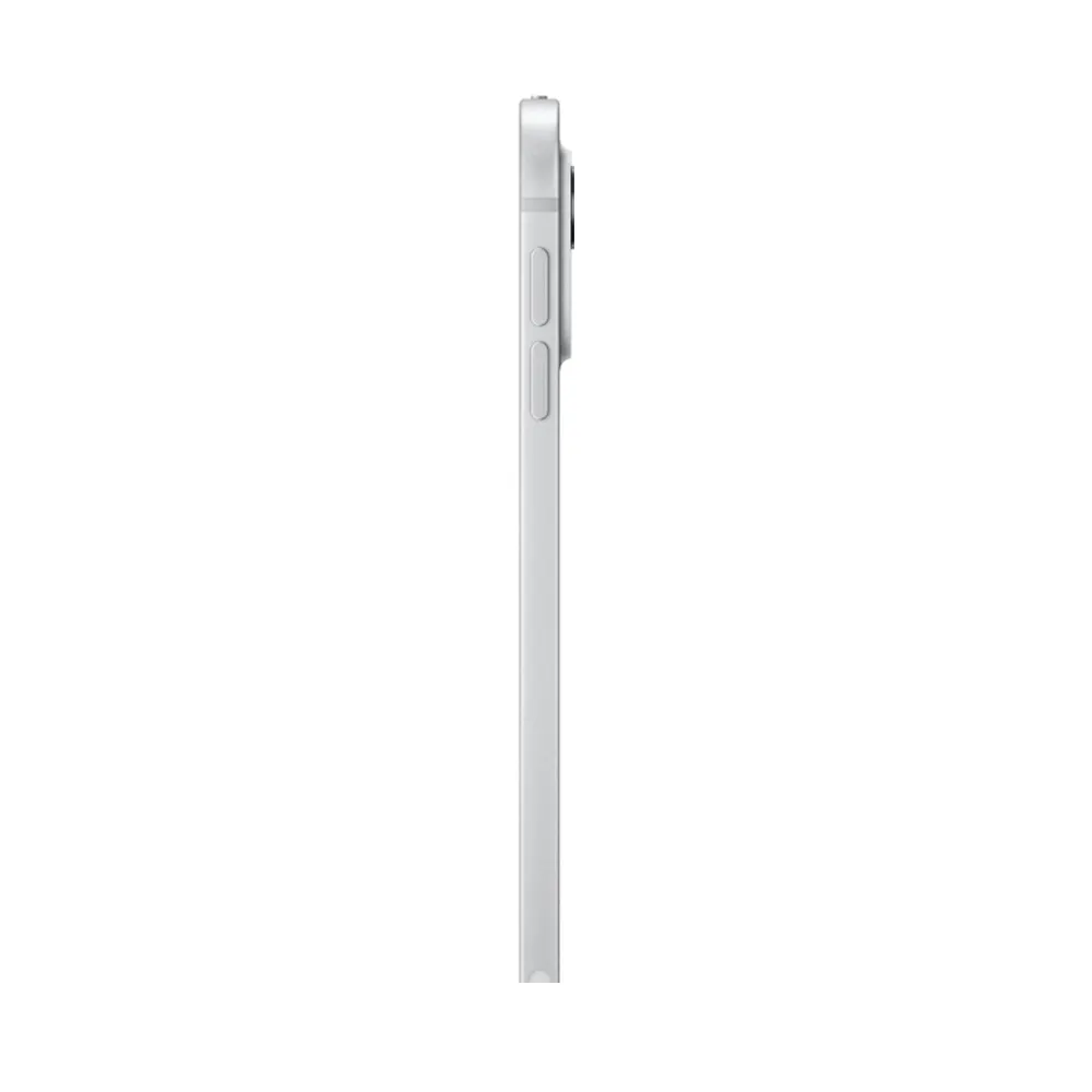 Apple iPad Pro 11 (2024) 256Gb Wi-Fi with Standard glass (Silver)