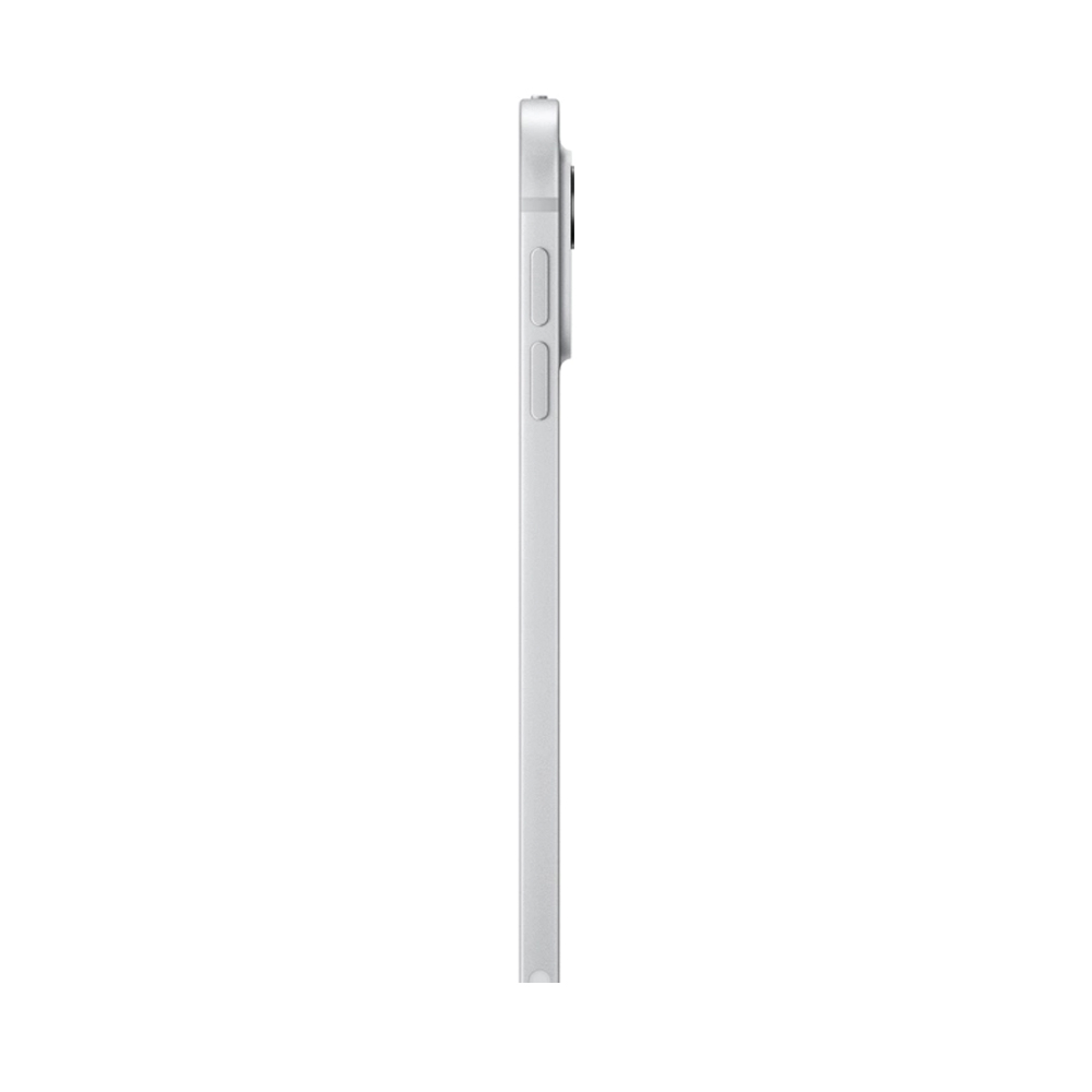Apple iPad Pro 11 (2024) 1Tb Wi-Fi + Cellular with Standard glass (Silver)