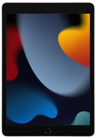 Apple iPad (2021) Wi-Fi 256Gb (Silver)